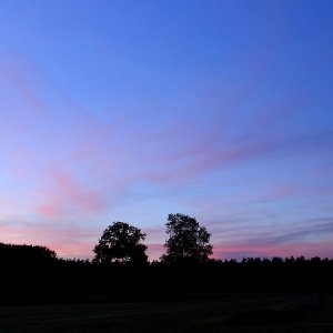 Landschaft...... Sabine Schröder